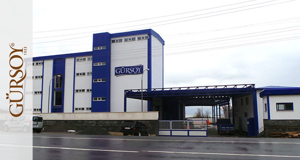 GURSOY