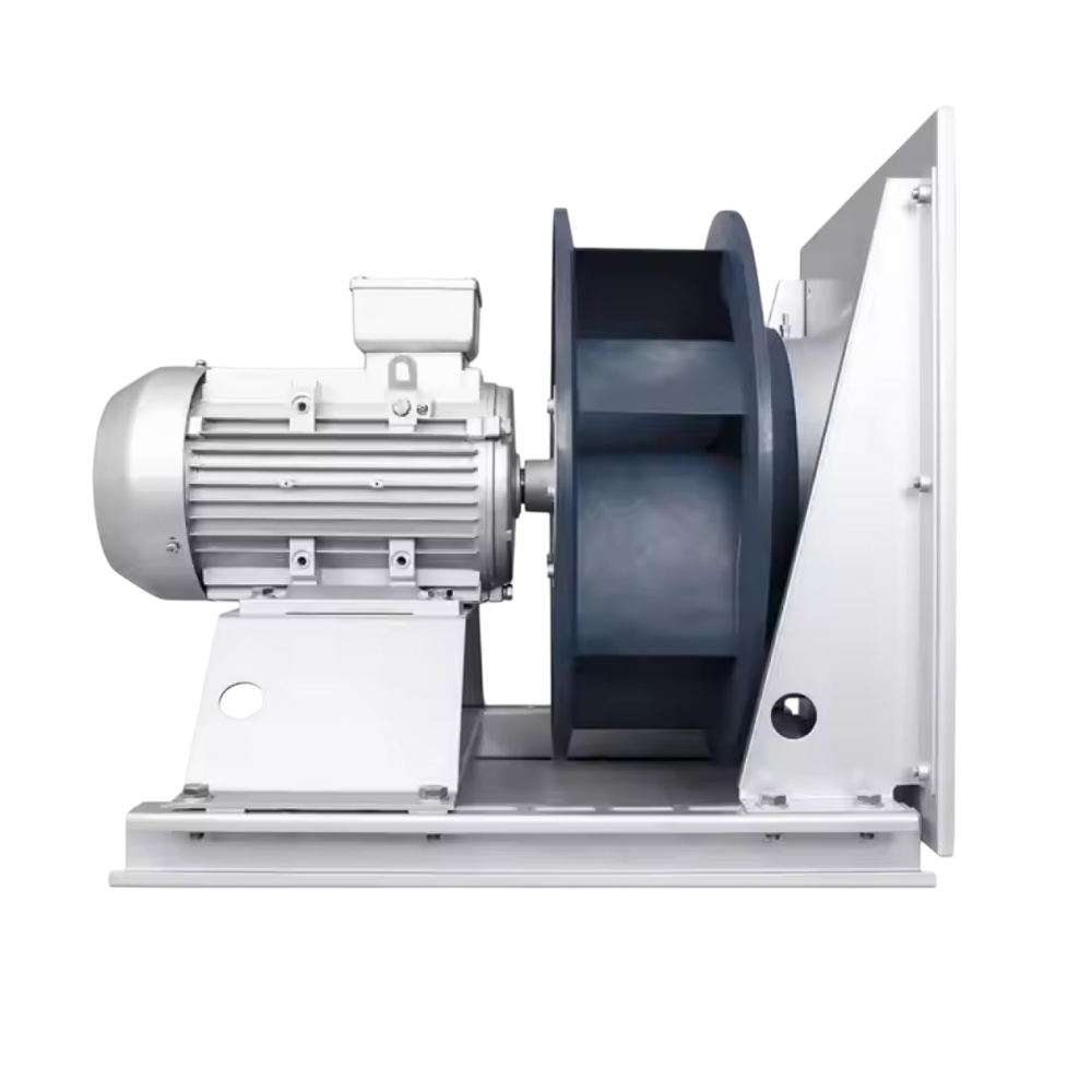 Plug Fanlar